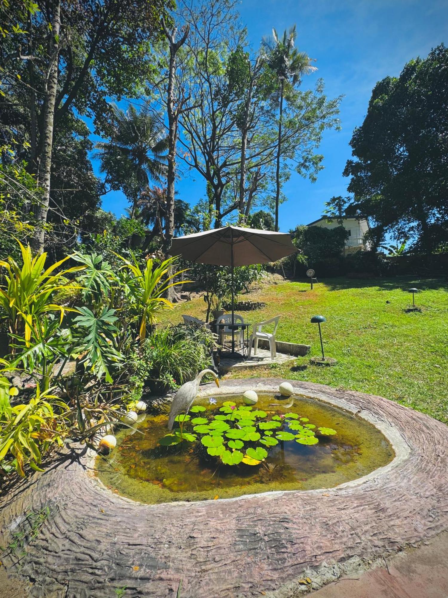 Mahaweli View Bungalow Канді Екстер'єр фото